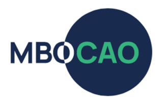 mbo cao 2025